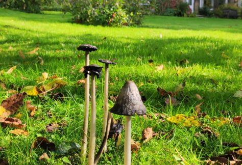View of Unstone grange house with mushrooms on lawn